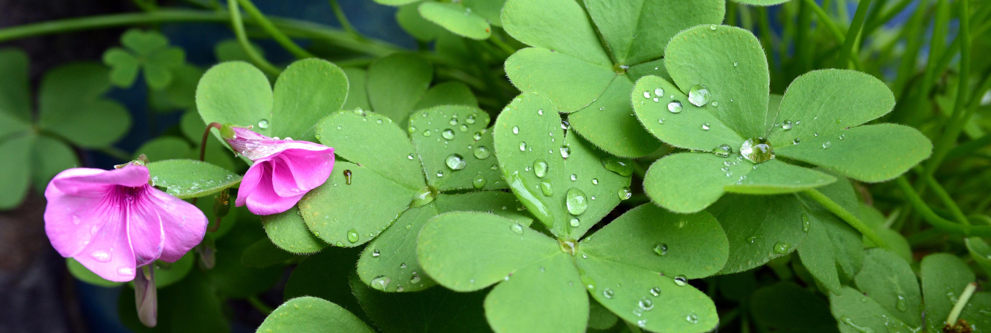 neue Büro-Öffnungszeiten ab 2024